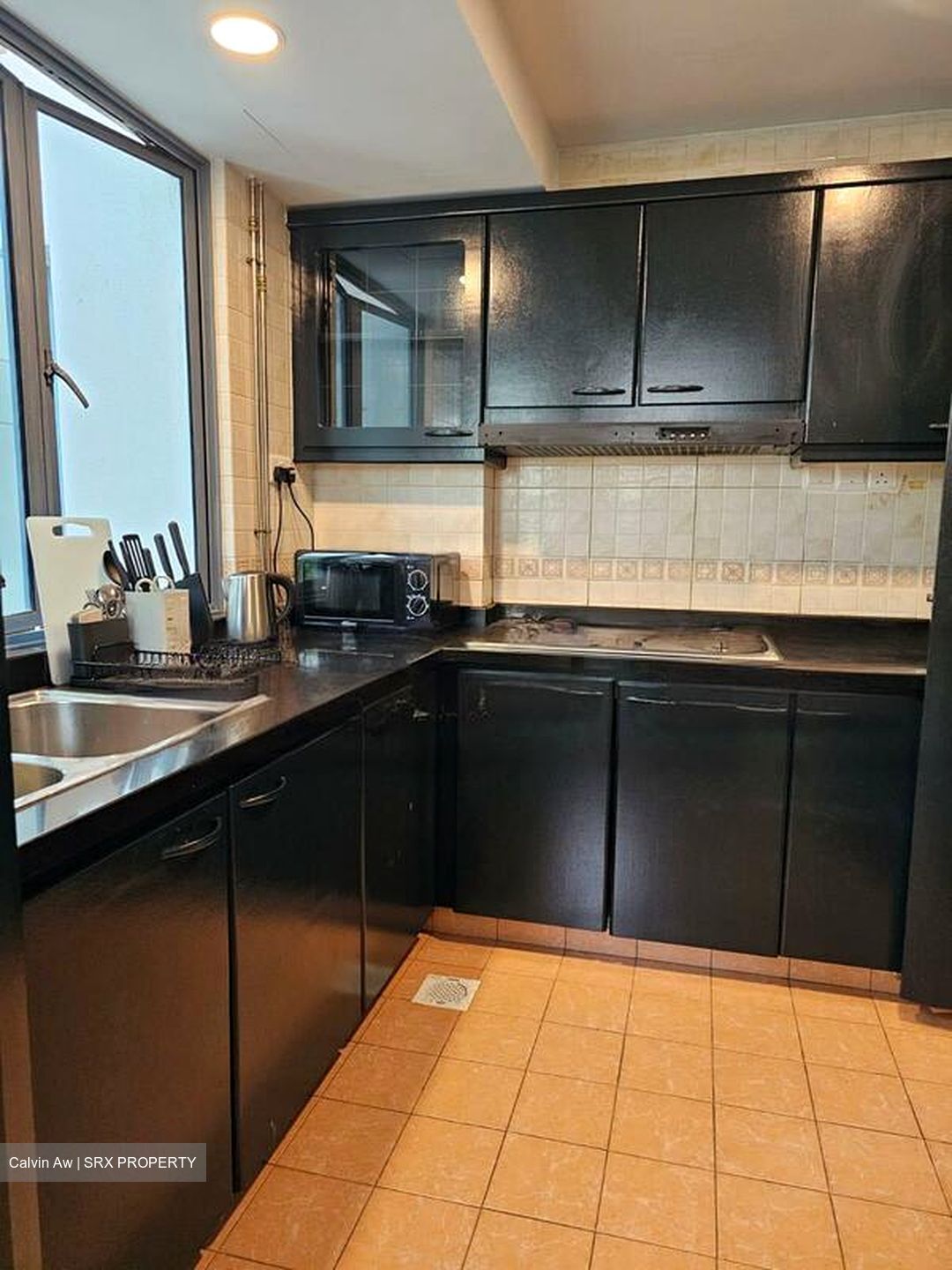 Aquarius By The Park (D16), Condominium #443475271
